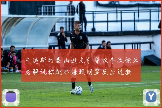 卡迪斯对泰山造点引争议李欣徐云龙解说称跳水嫌疑明显反应过激